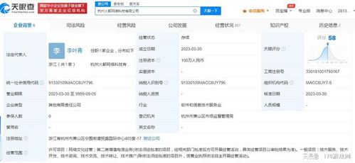 九玩網絡投資成立新公司，深耕網絡技術服務新紀元